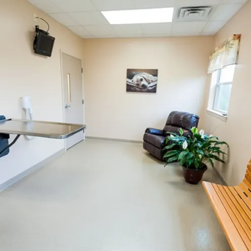 Interior of Companion Animal Hospital